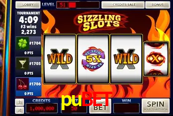 Descubra o Mundo do Cassino Online com pubet