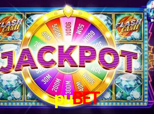 Interface Premium pubet