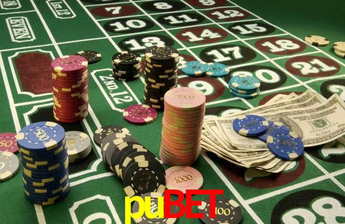 Experiência VIP pubet