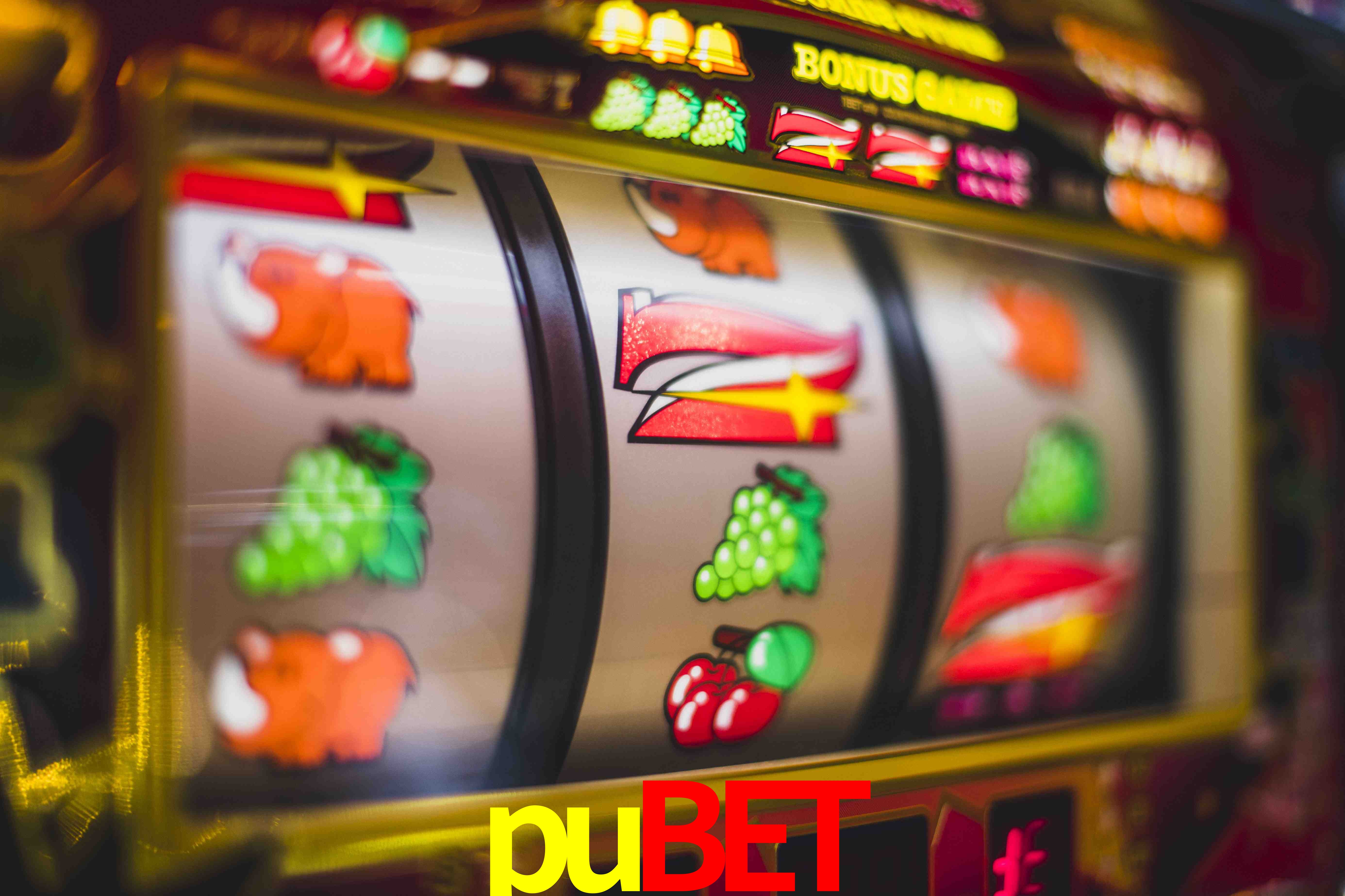 VIP Casino pubet