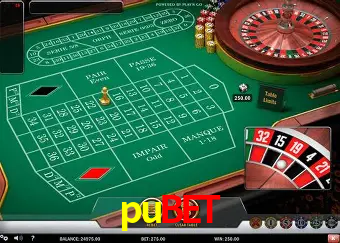 Descubra o Mundo do Cassino Online com pubet